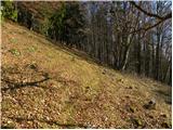 Mače - Planina Dolga njiva